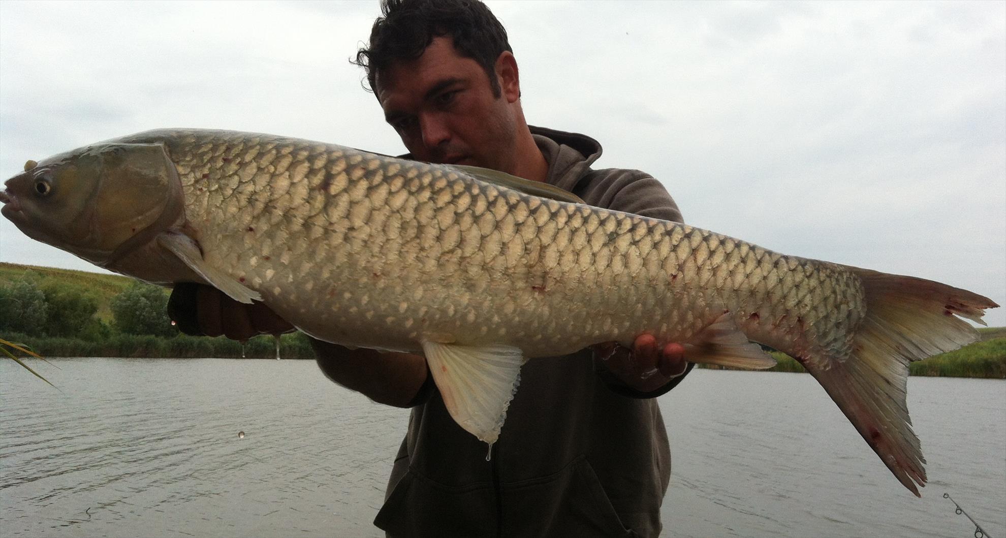 Magura 9 16 - 17 aug. - 8.JPG